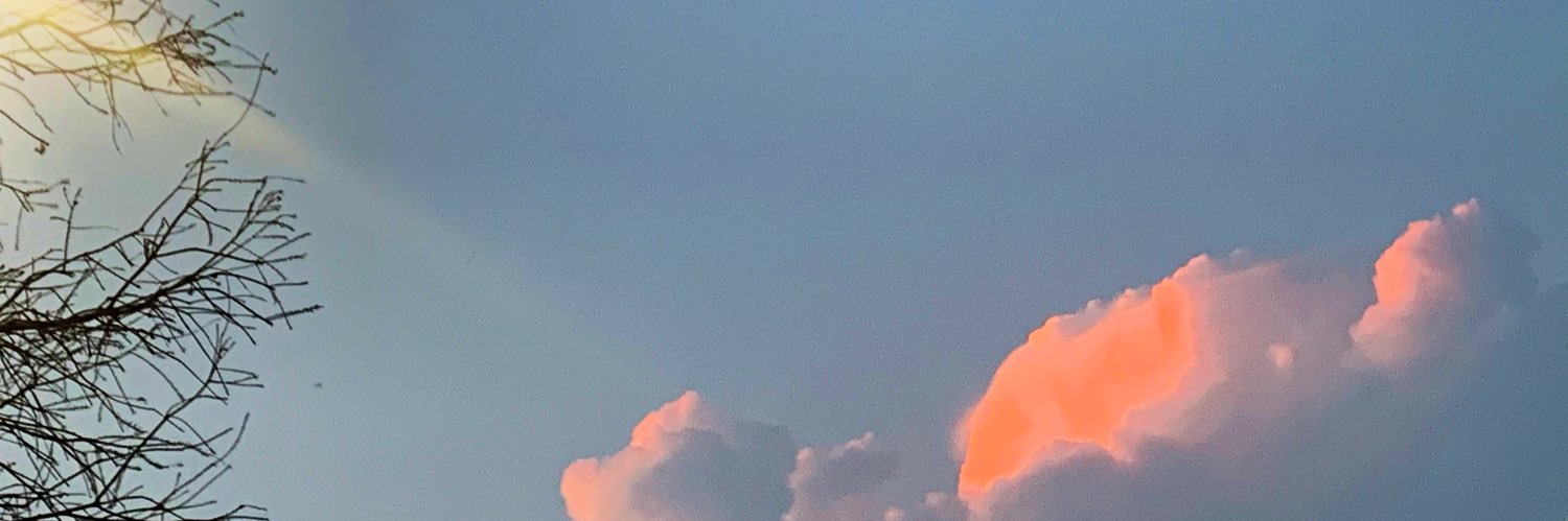 gioooo_l's profile banner image