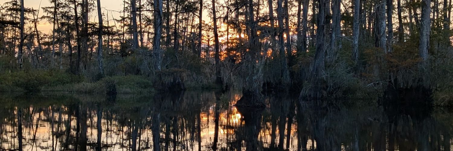 Birds of Accord banner