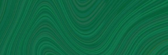 سلطان الرباشي banner