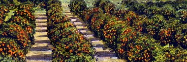 Jennifer J. Schulp's banner