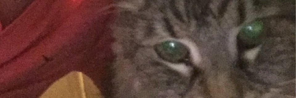 PeDoug's profile banner image