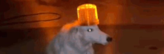 imfrend_'s profile banner image