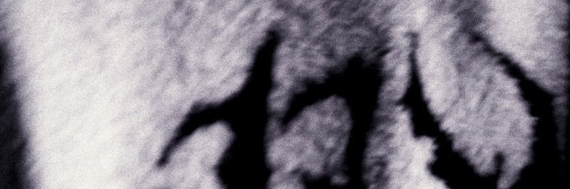 juneyily's profile banner image