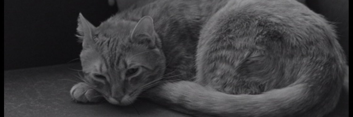 thejakehirsch's profile banner image