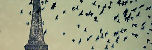 LiagiselG's profile banner image