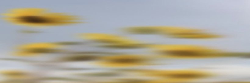 slowgraffitii's profile banner image