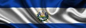 Guanacos 503 banner