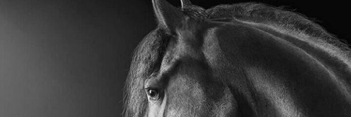 ♍ banner