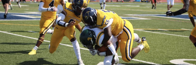 atreal mayfield banner