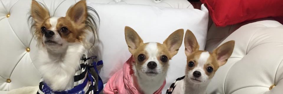 mm_cimonnie's profile banner image