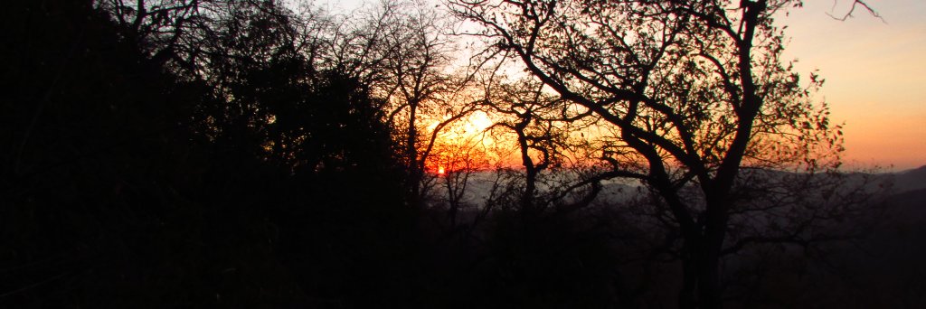 MatiasContardo's profile banner image