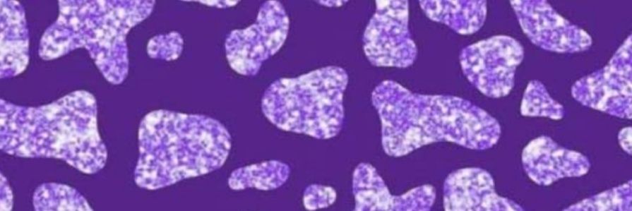 RickLover6's profile banner image