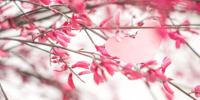 NewEnglandPatriot603 banner