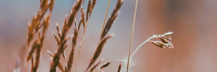camilanb7's profile banner image