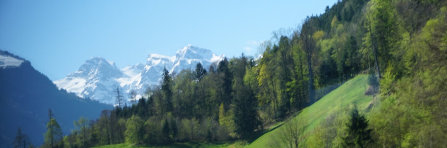 🇨🇭MyHappiness🇨🇭 banner