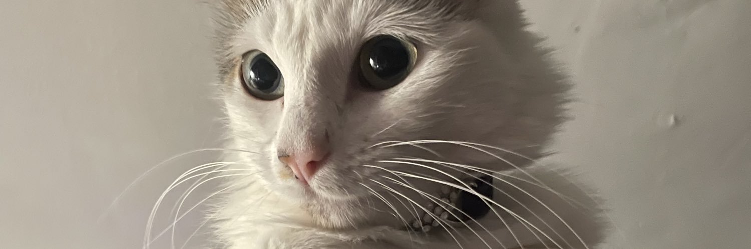 XkMarco's profile banner image