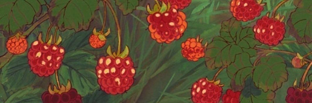 raquelcassini's profile banner image