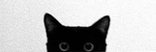 SCTSingh's profile banner image