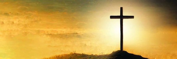 ThisIsSimulated Profile Banner