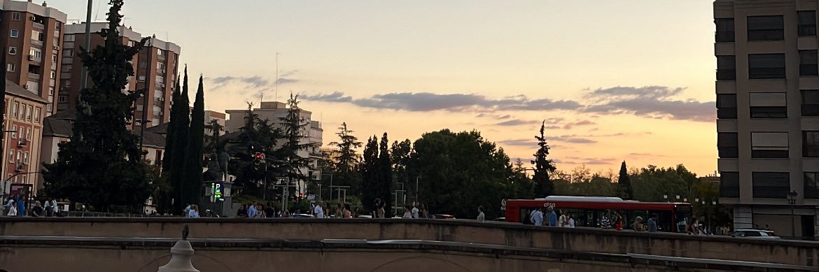 Lorena banner