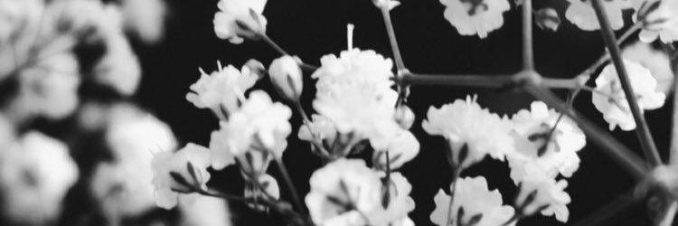 FlavioApril's profile banner image