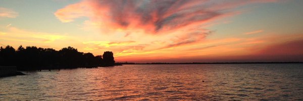 joykobti Profile Banner