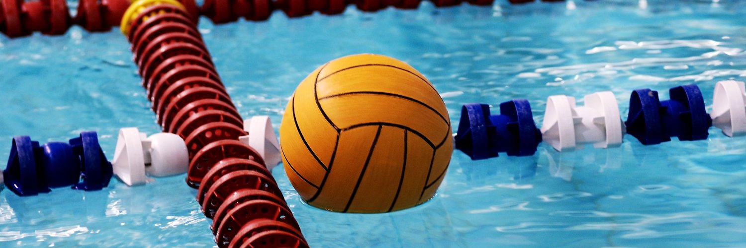 DHS Wolves Water Polo banner