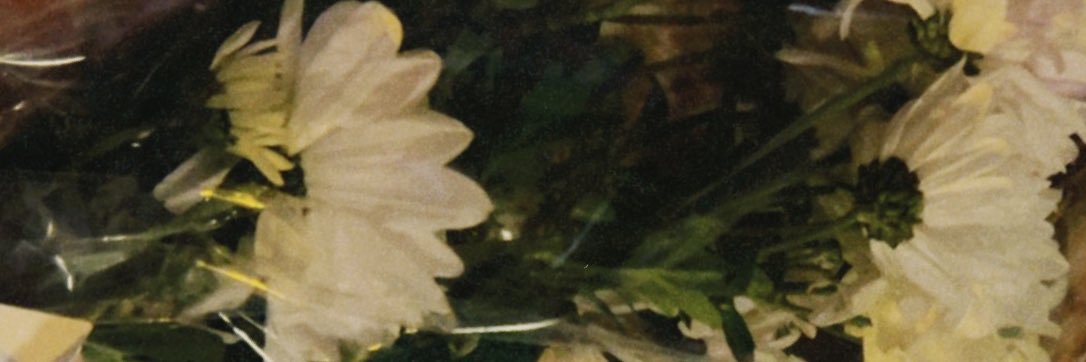 Simgebektaass's profile banner image