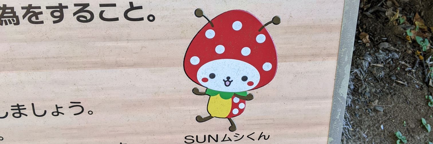ayaryow's profile banner image