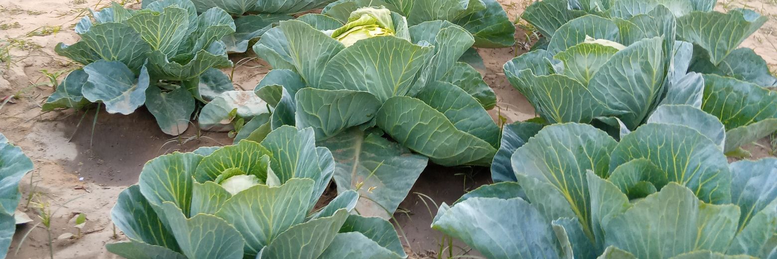 Alh Bunu Fantami Marguba banner