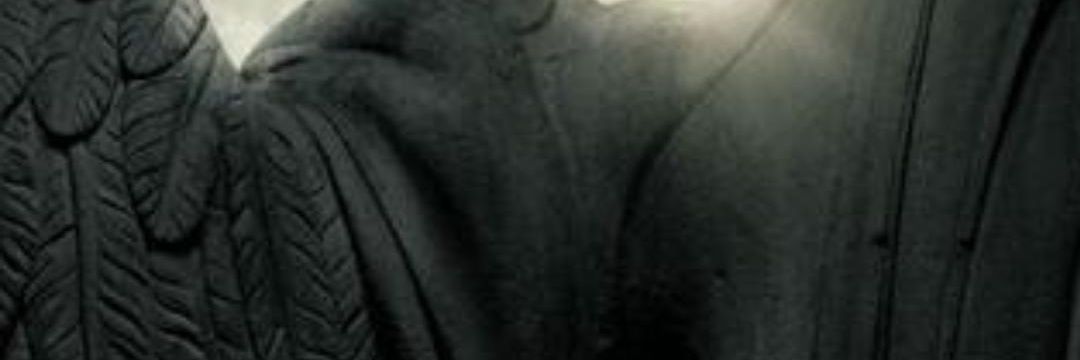 guoshivi's profile banner image