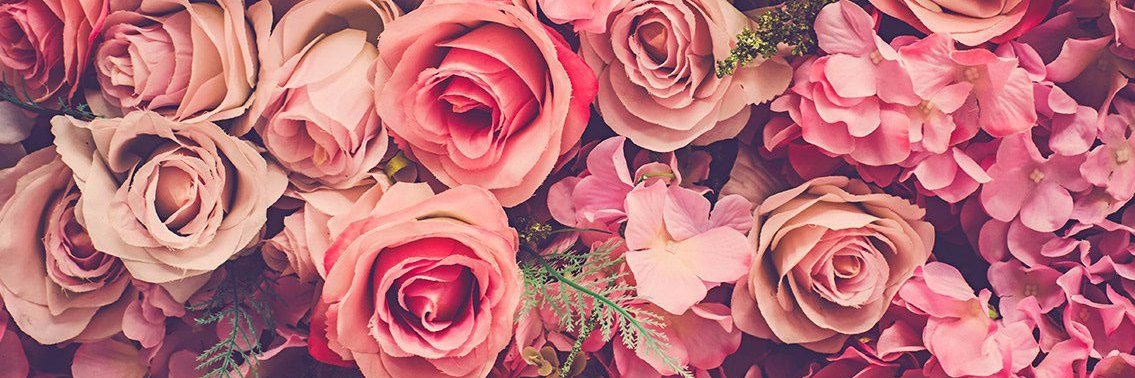 deanellcomia's profile banner image