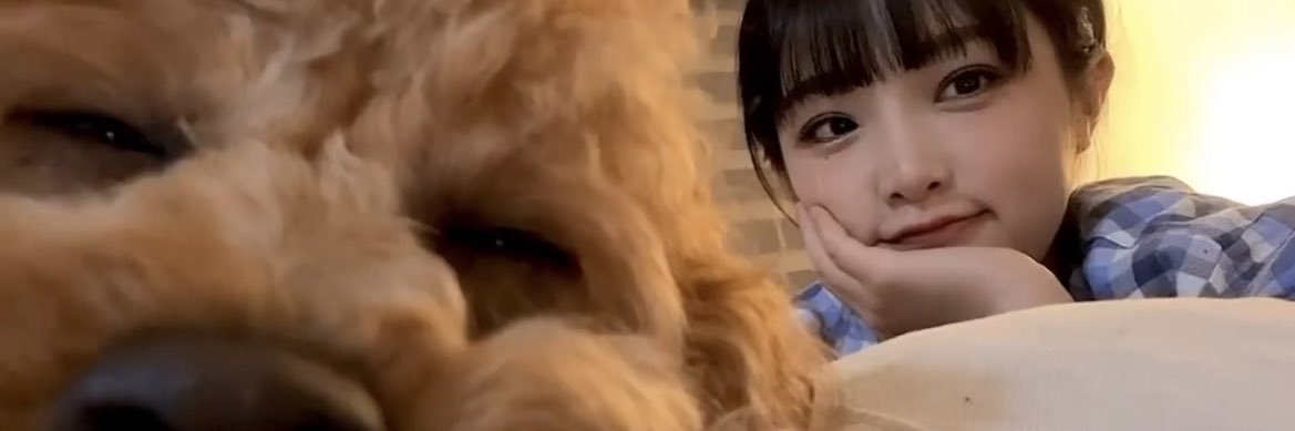 ꒰১치즈구미໒꒱ banner