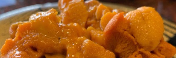 bimitadakimasu Profile Banner