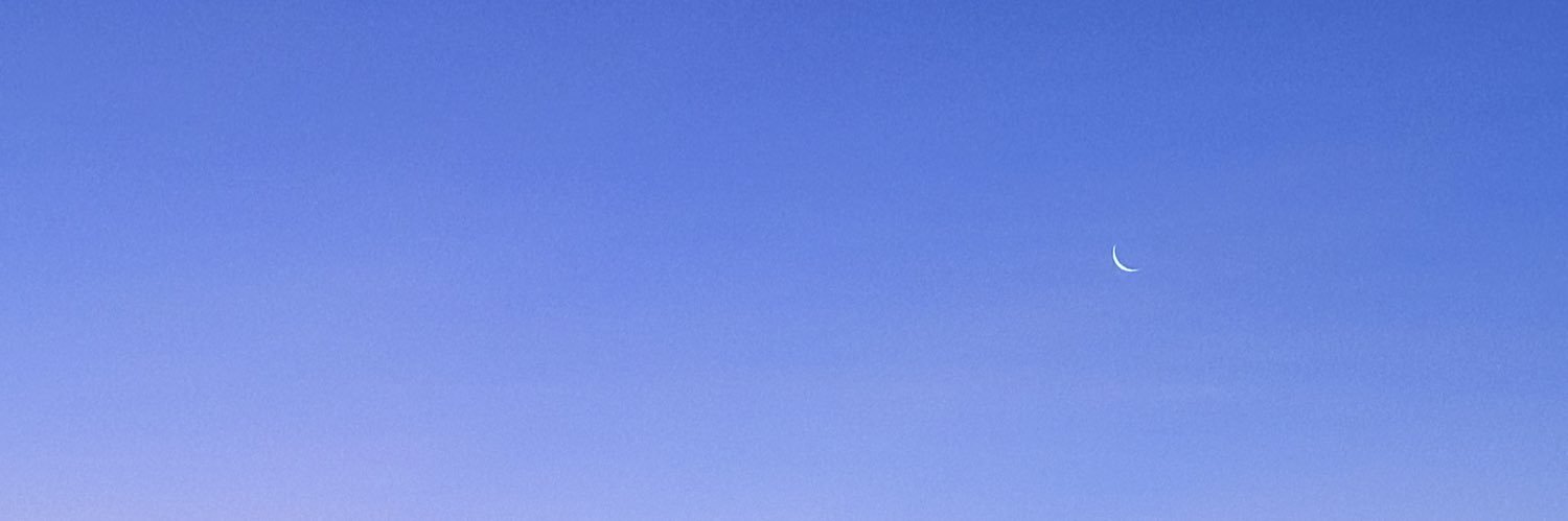 sgrnsrmnt's profile banner image