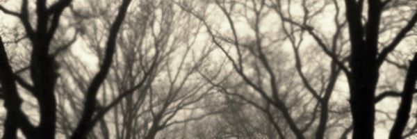 ͏ ͏ I Ɔ H I Ә O. banner