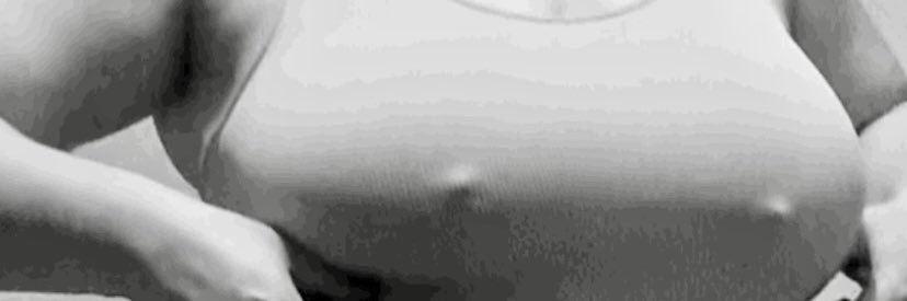 smtq banner