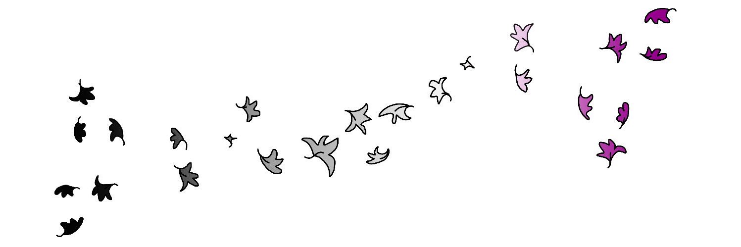 Kwin 퀸 banner