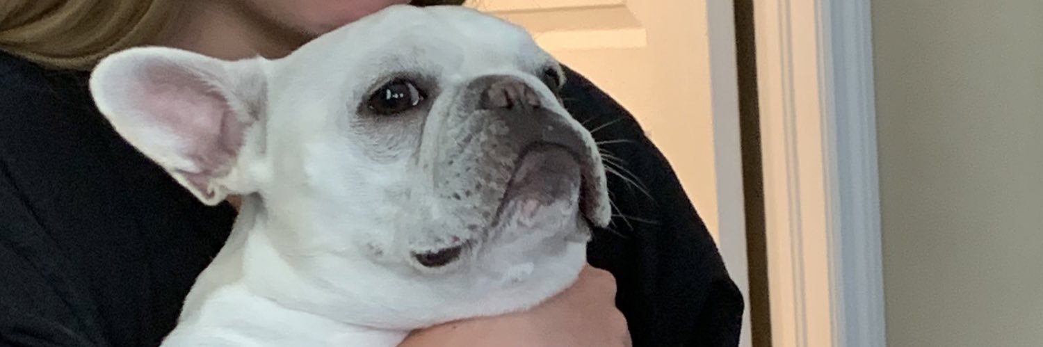 Bayleejc8's profile banner image