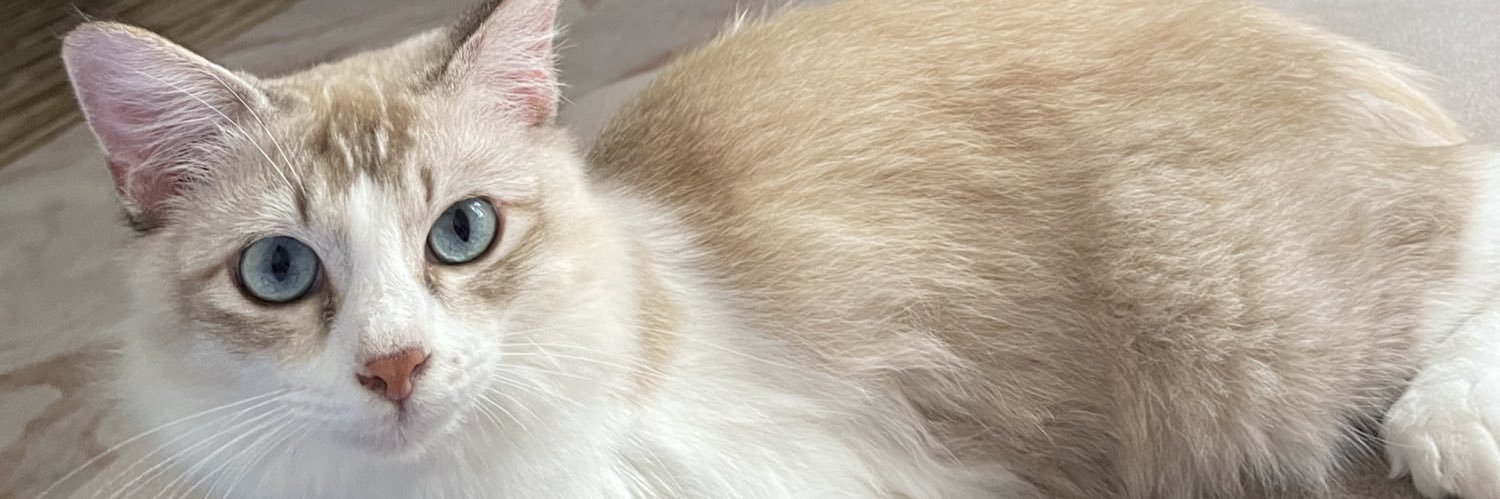 fkhzrth's profile banner image