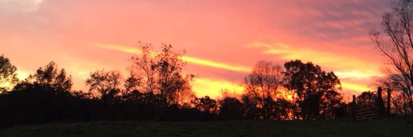 LandonCamp8 Profile Banner