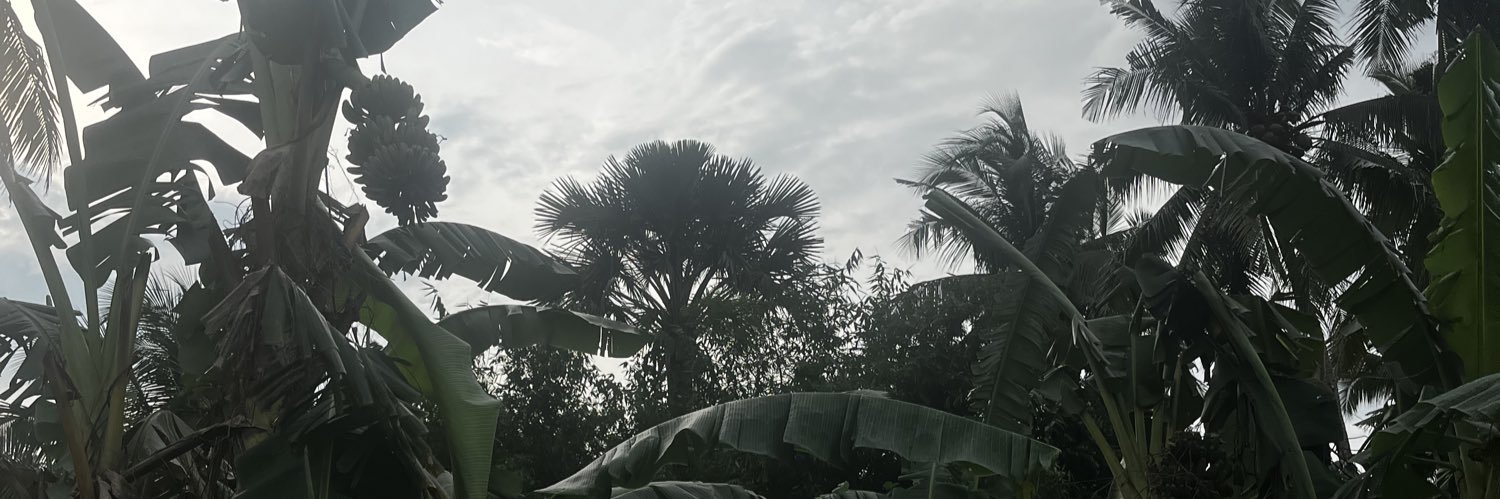 caezarsalad's profile banner image