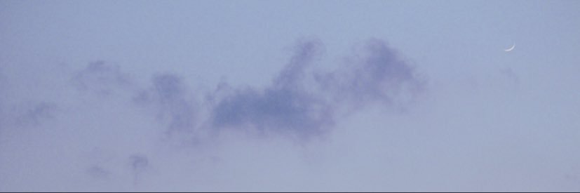 ぴの banner
