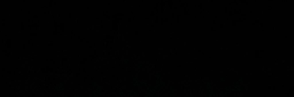 🐉 banner