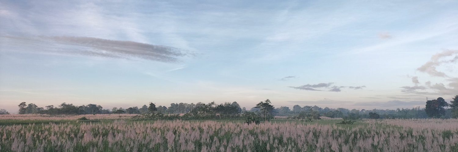 Tiarazzyy's profile banner image