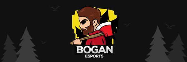 BoganEsports Profile Banner