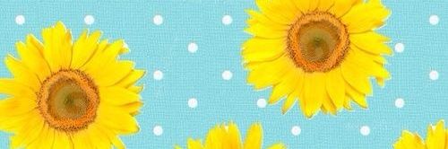 khalidakhalidi's profile banner image