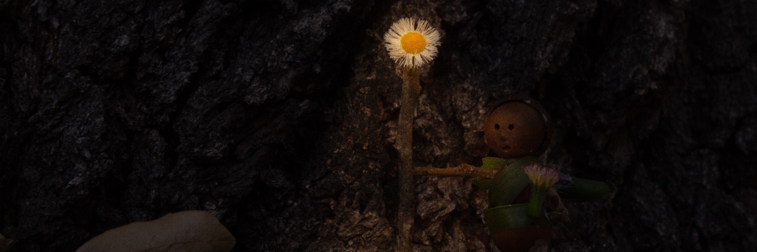 BlackJustCuz's profile banner image