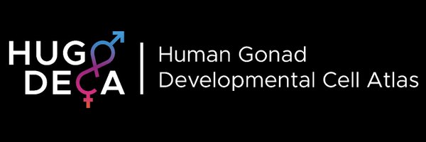 Hugodecaproject Profile Banner