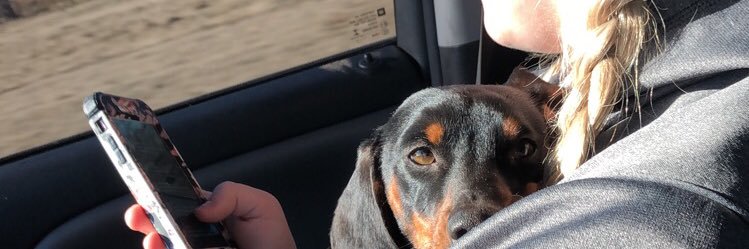 PlaceConnor5's profile banner image